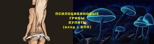 героин Алексин
