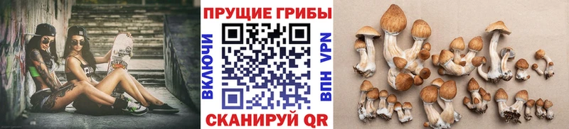Псилоцибиновые грибы Psilocybine cubensis  хочу наркоту  мега рабочий сайт  Артёмовский 